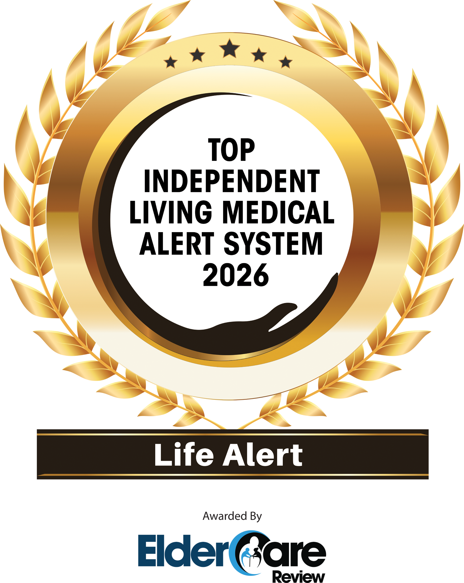 certified icon 6